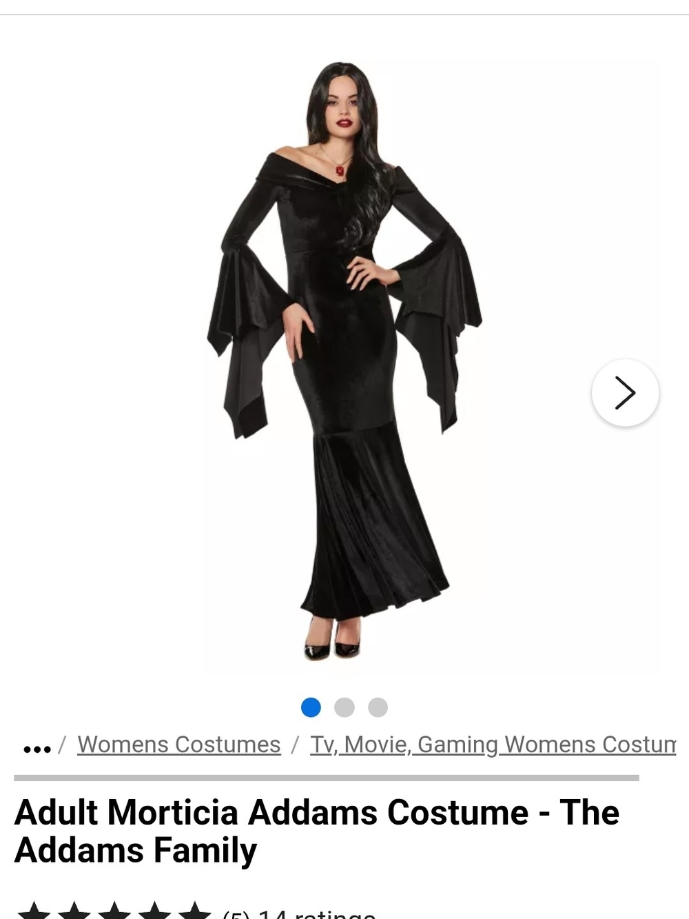 Morticia Addams Women's Black Velvet Evening Dress Costume